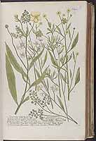  no thumbnail available