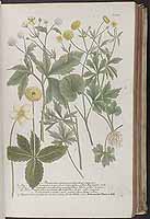  no thumbnail available