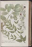  no thumbnail available