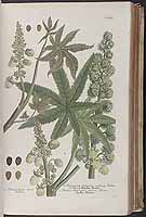  no thumbnail available