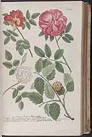  no thumbnail available