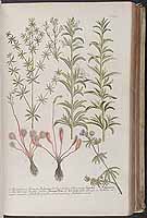  no thumbnail available