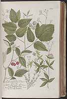  no thumbnail available