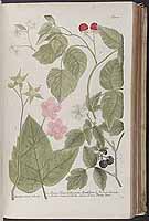  no thumbnail available