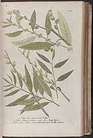  no thumbnail available