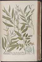  no thumbnail available