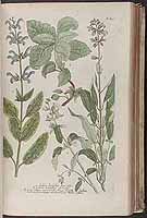  no thumbnail available