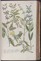  no thumbnail available