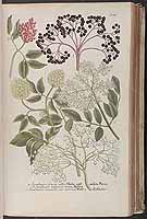  no thumbnail available