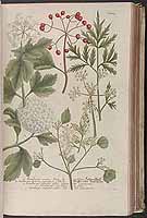  no thumbnail available