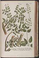  no thumbnail available