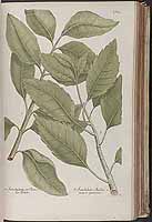  no thumbnail available