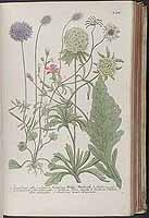  no thumbnail available