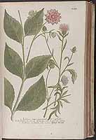  no thumbnail available