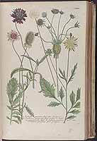  no thumbnail available