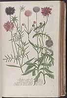  no thumbnail available