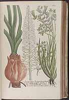  no thumbnail available