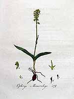  no thumbnail available