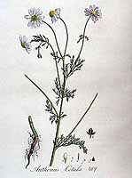  no thumbnail available