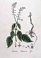  no thumbnail available