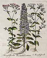  no thumbnail available