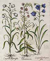  no thumbnail available