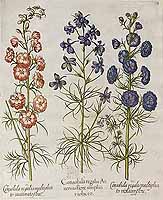  no thumbnail available