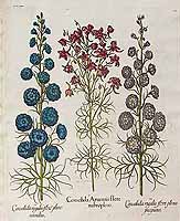  no thumbnail available