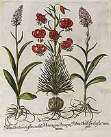  no thumbnail available