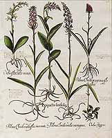  no thumbnail available