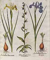  no thumbnail available