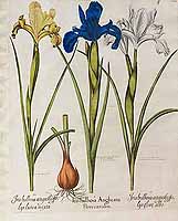  no thumbnail available