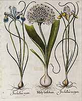  no thumbnail available