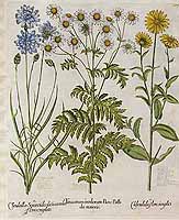  no thumbnail available