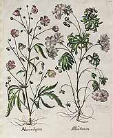  no thumbnail available