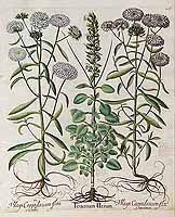  no thumbnail available