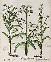  no thumbnail available