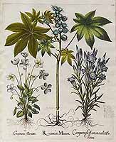  no thumbnail available