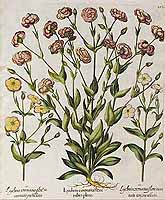  no thumbnail available