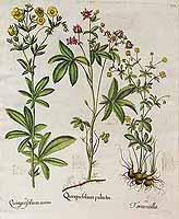  no thumbnail available