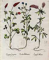  no thumbnail available