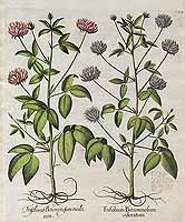  no thumbnail available