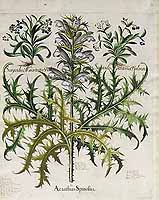  no thumbnail available