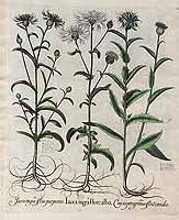  no thumbnail available