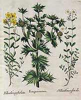  no thumbnail available