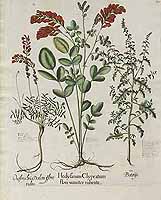  no thumbnail available