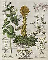  no thumbnail available