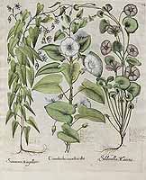  no thumbnail available