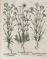  no thumbnail available