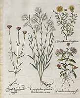  no thumbnail available